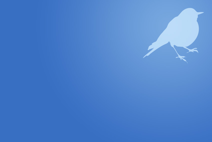 Trichomonosis In Garden Birds Garden Wildlife Health - 