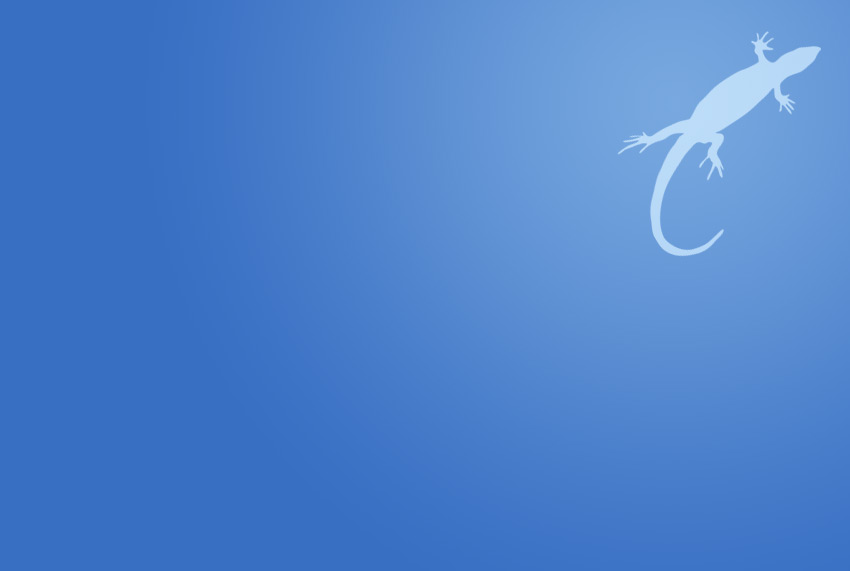 Salmonella Infection in Reptiles Garden Wildlife Health